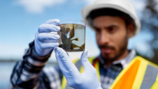 The environmental sector is regarded as the UK's second-least diverse, with farming being the least diverse. Stock image.